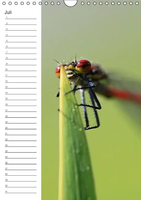 Bild: 9783660024319 | Tierische Kleinigkeiten / Geburtstagskalender (Wandkalender...