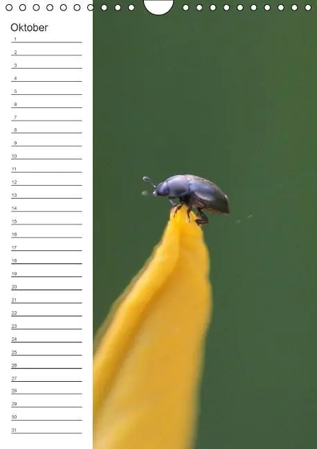 Bild: 9783660024319 | Tierische Kleinigkeiten / Geburtstagskalender (Wandkalender...