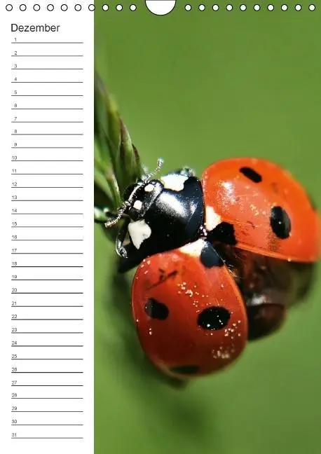 Bild: 9783660024319 | Tierische Kleinigkeiten / Geburtstagskalender (Wandkalender...