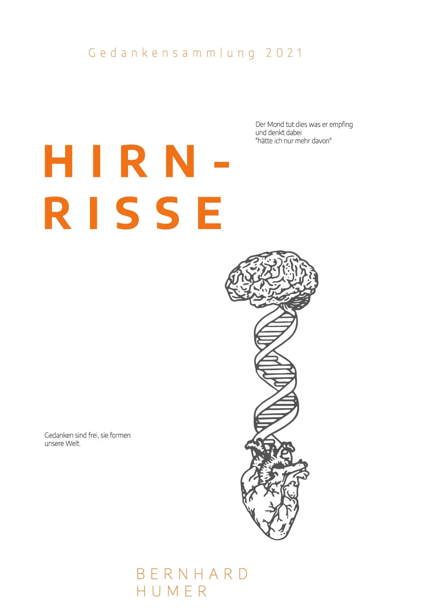 Cover: 9783754314319 | Hirnrisse | Eine Collage meiner, für so manchen hirnrissigen, Gedanken