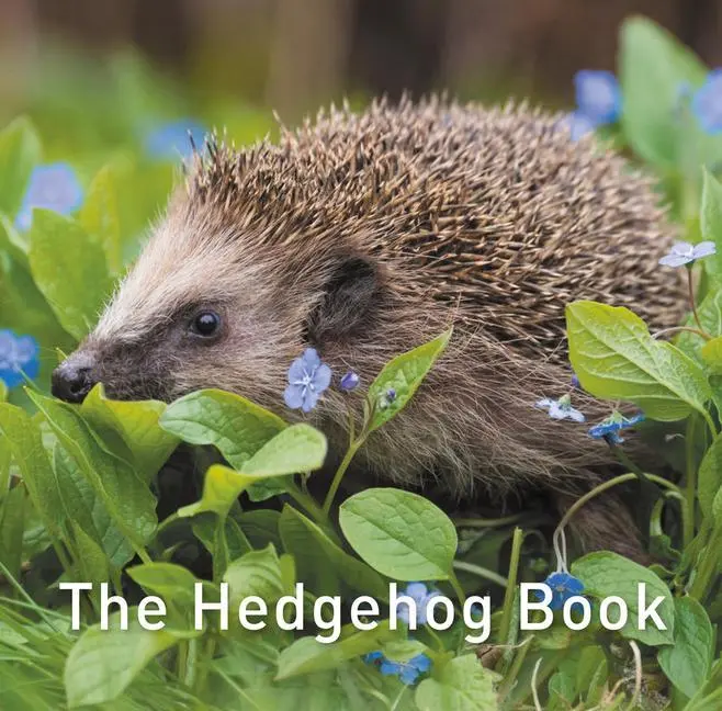 Cover: 9781913134419 | The Hedgehog Book | Hugh Warwick | Buch | Gebunden | Englisch | 2020