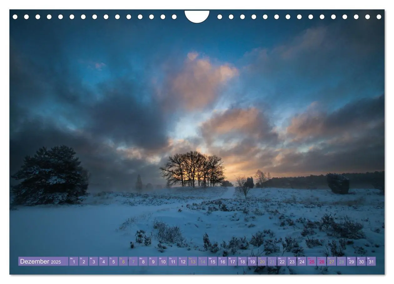 Bild: 9783383984419 | Die Farbenpracht der Lüneburger Heide (Wandkalender 2025 DIN A4...