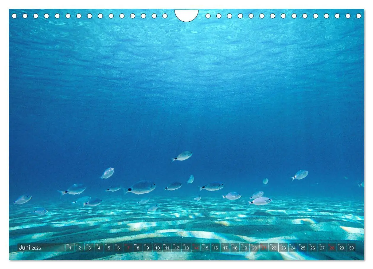 Bild: 9783457304419 | Sardinien - Karibik des Mittelmeers (Wandkalender 2026 DIN A4...