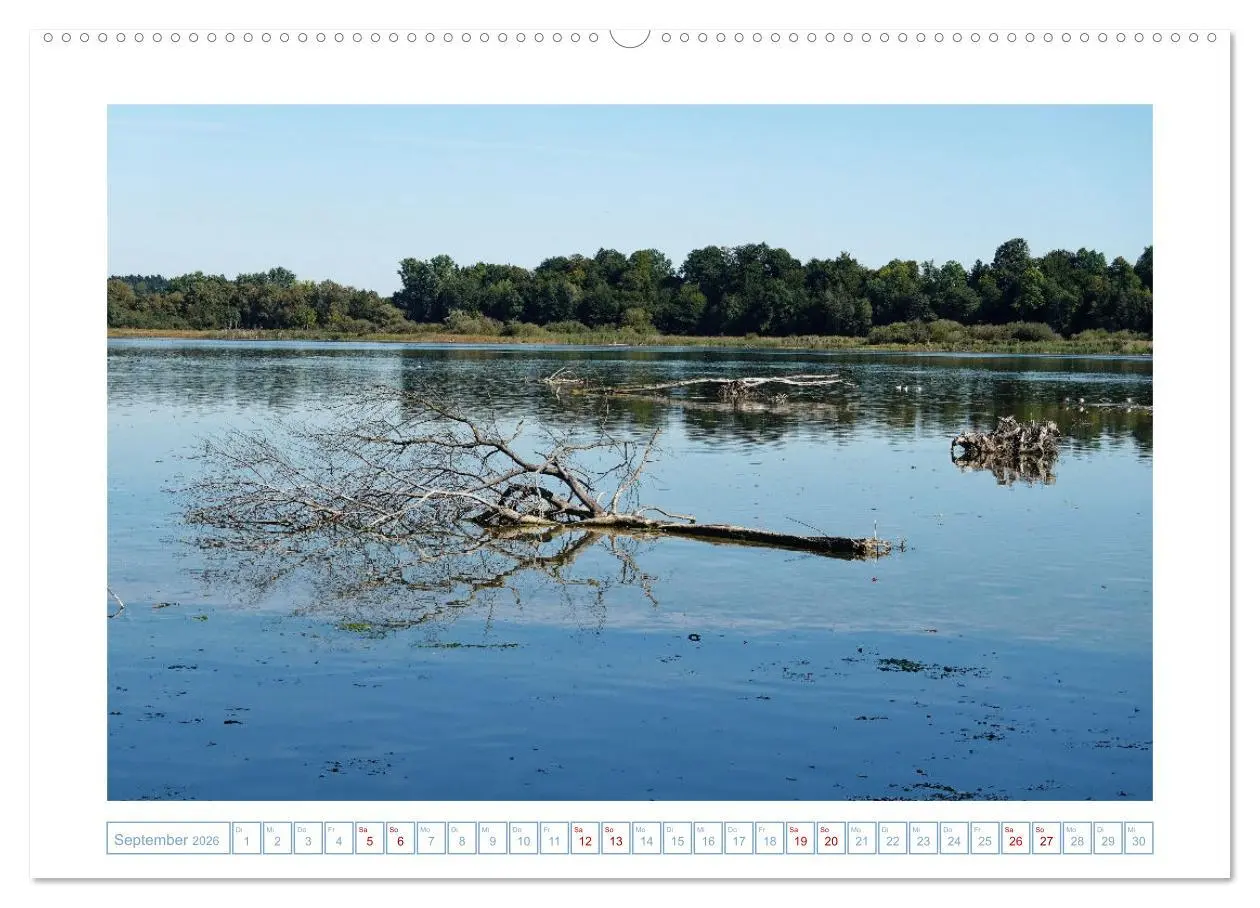 Bild: 9783457614419 | Chiemgau - Impressionen (Wandkalender 2026 DIN A2 quer), CALVENDO...