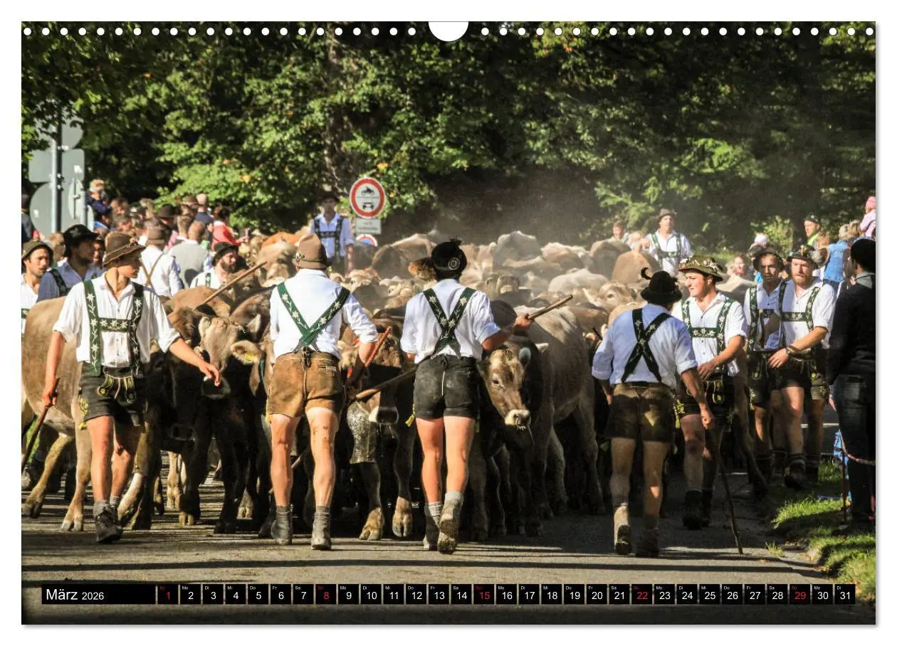 Bild: 9783457764619 | Faszination Allgäu (Wandkalender 2026 DIN A3 quer), CALVENDO...