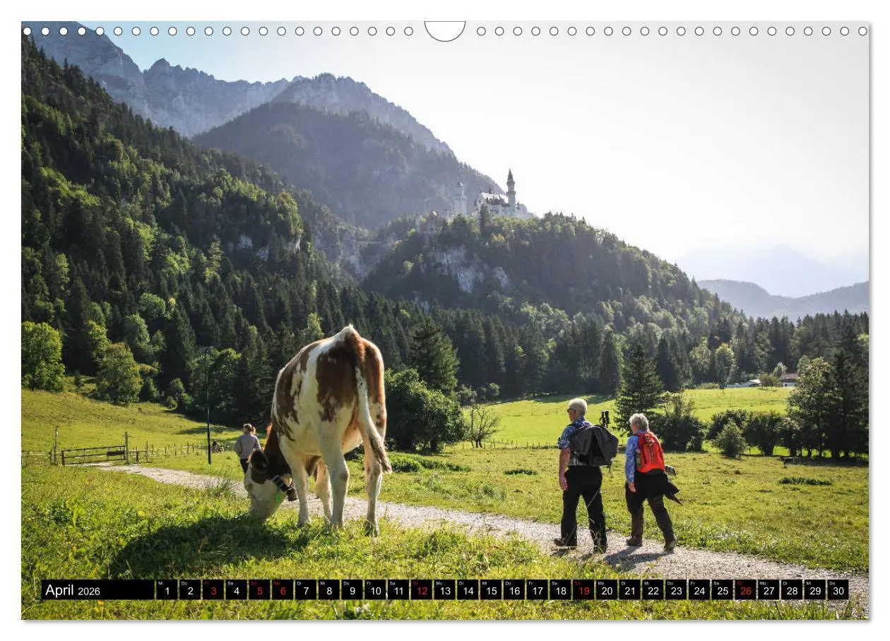 Bild: 9783457764619 | Faszination Allgäu (Wandkalender 2026 DIN A3 quer), CALVENDO...