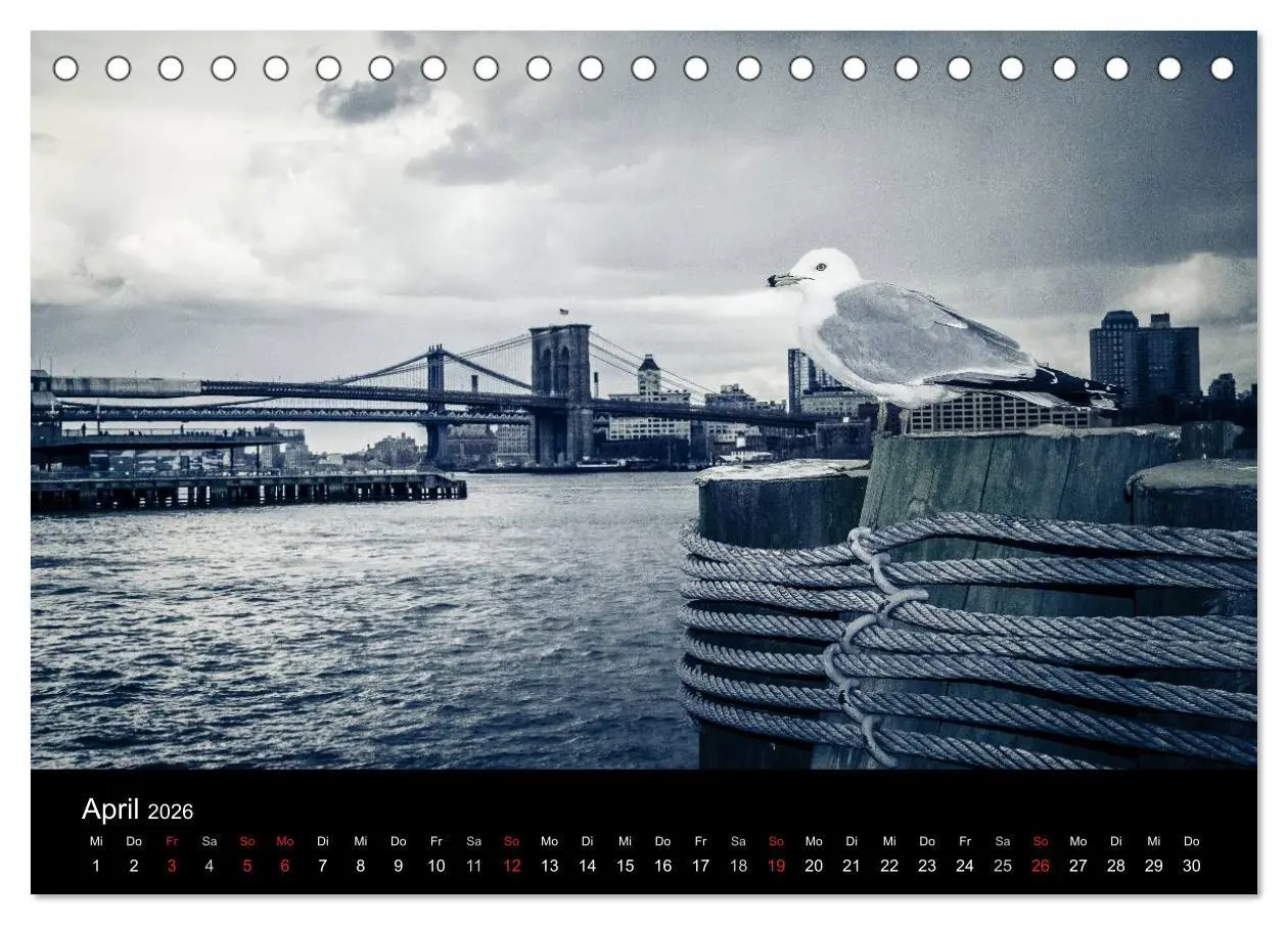 Bild: 9783516164619 | New York (Tischkalender 2026 DIN A5 quer), CALVENDO Monatskalender