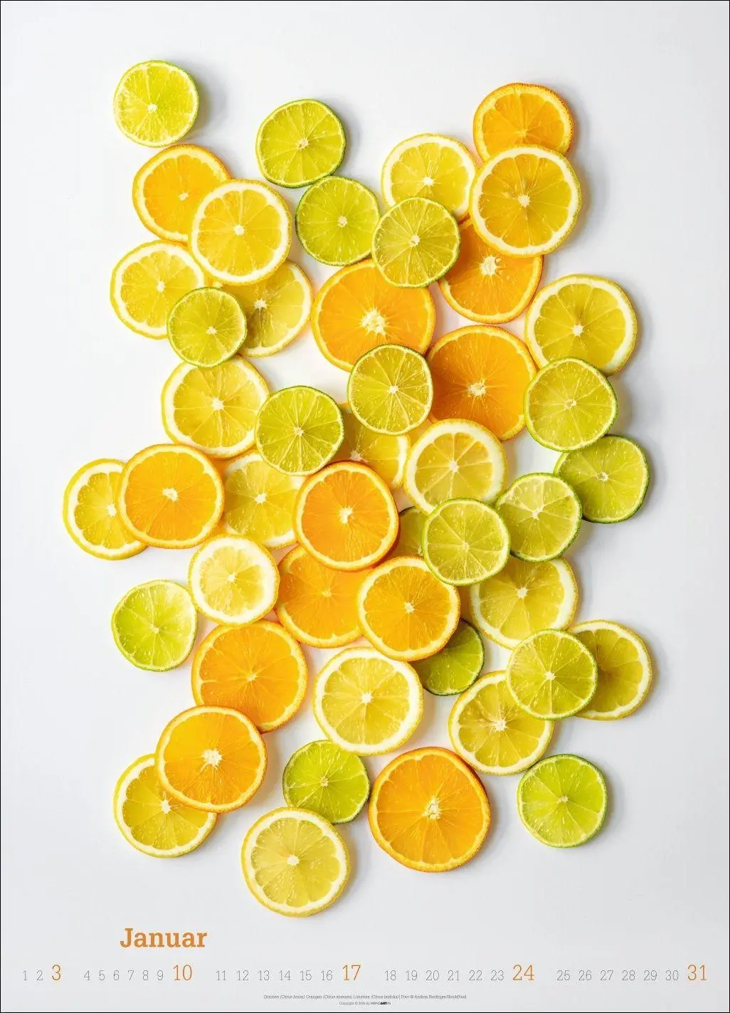 Bild: 9783839904619 | Fresh Food Kalender 2027 | Kalender | Spiralbindung | 14 S. | Deutsch