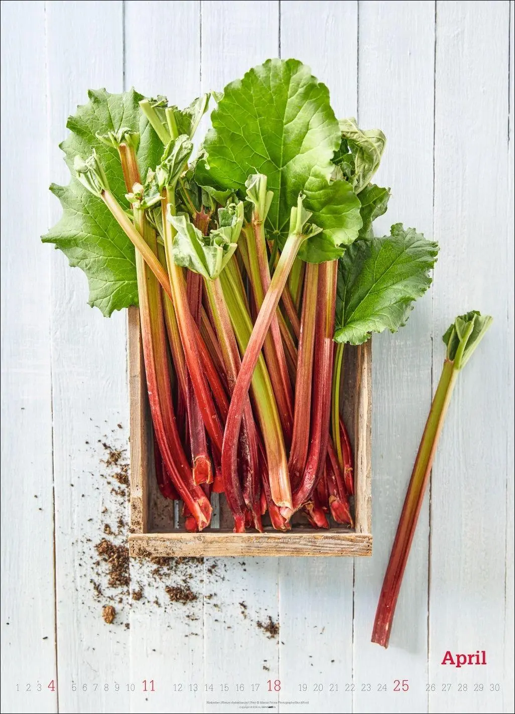 Bild: 9783839904619 | Fresh Food Kalender 2027 | Kalender | Spiralbindung | 14 S. | Deutsch