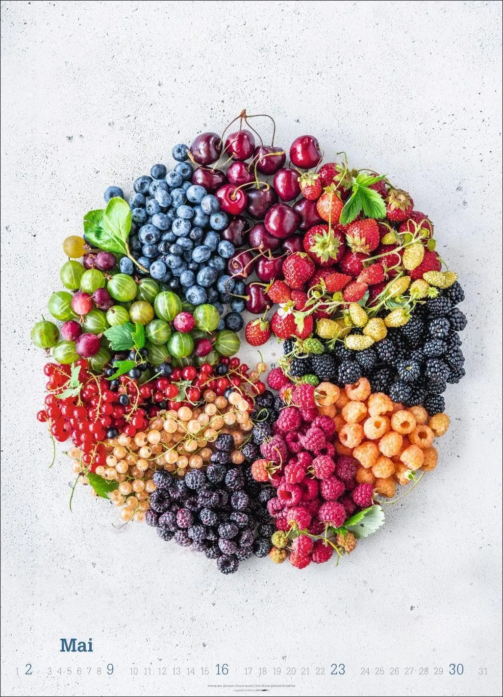Bild: 9783839904619 | Fresh Food Kalender 2027 | Kalender | Spiralbindung | 14 S. | Deutsch