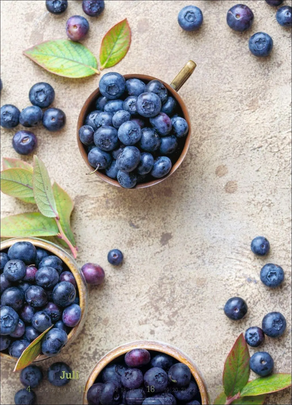 Bild: 9783839904619 | Fresh Food Kalender 2027 | Kalender | Spiralbindung | 14 S. | Deutsch