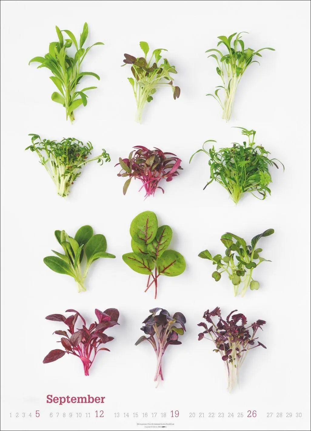 Bild: 9783839904619 | Fresh Food Kalender 2027 | Kalender | Spiralbindung | 14 S. | Deutsch