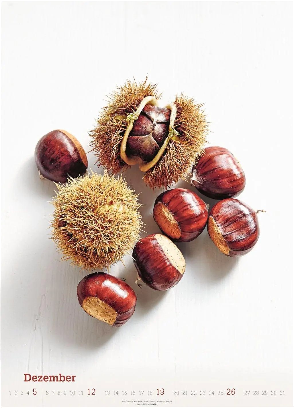 Bild: 9783839904619 | Fresh Food Kalender 2027 | Kalender | Spiralbindung | 14 S. | Deutsch