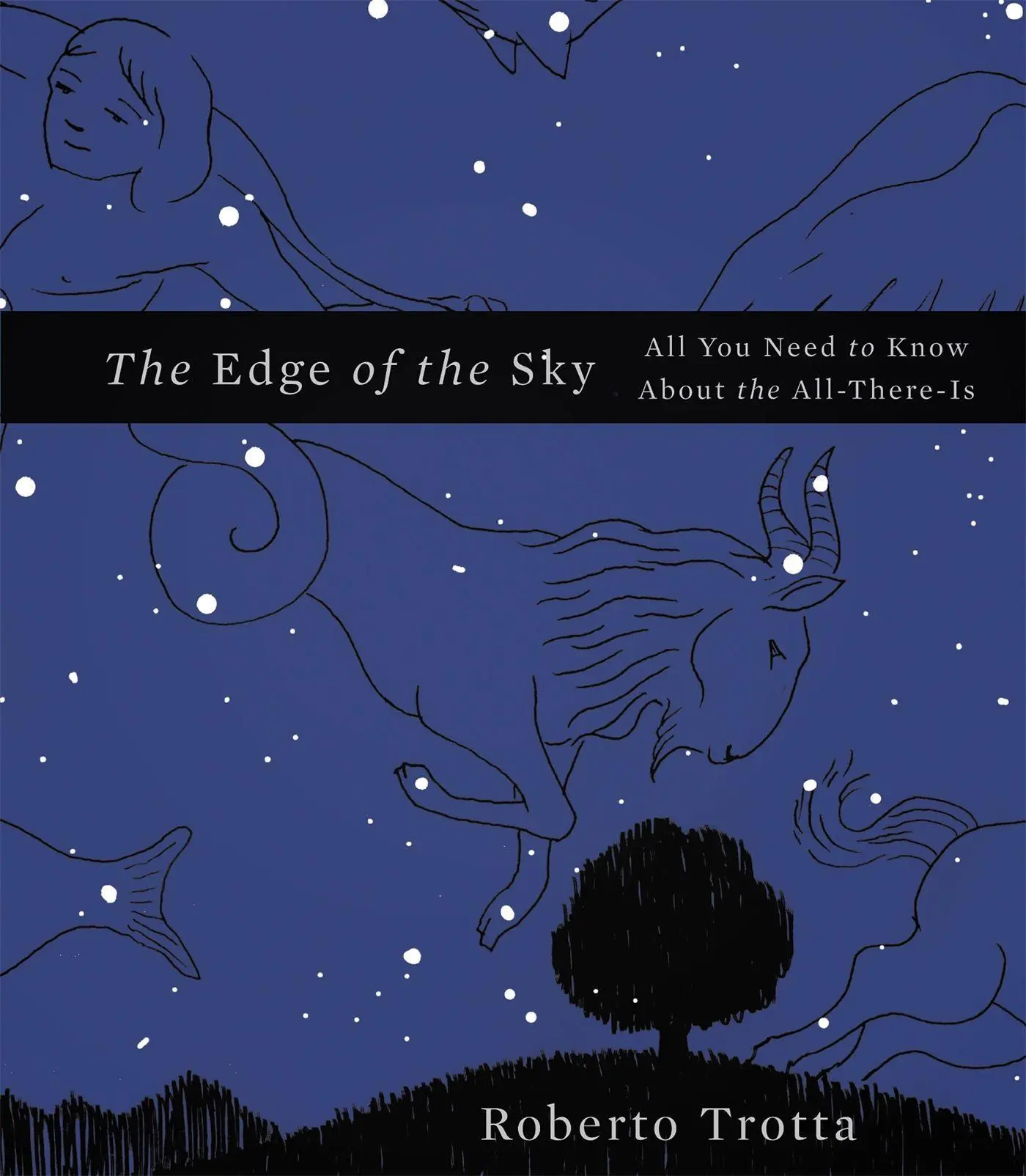 Cover: 9780465044719 | The Edge of the Sky | All You Need to Know about the All-There-Is