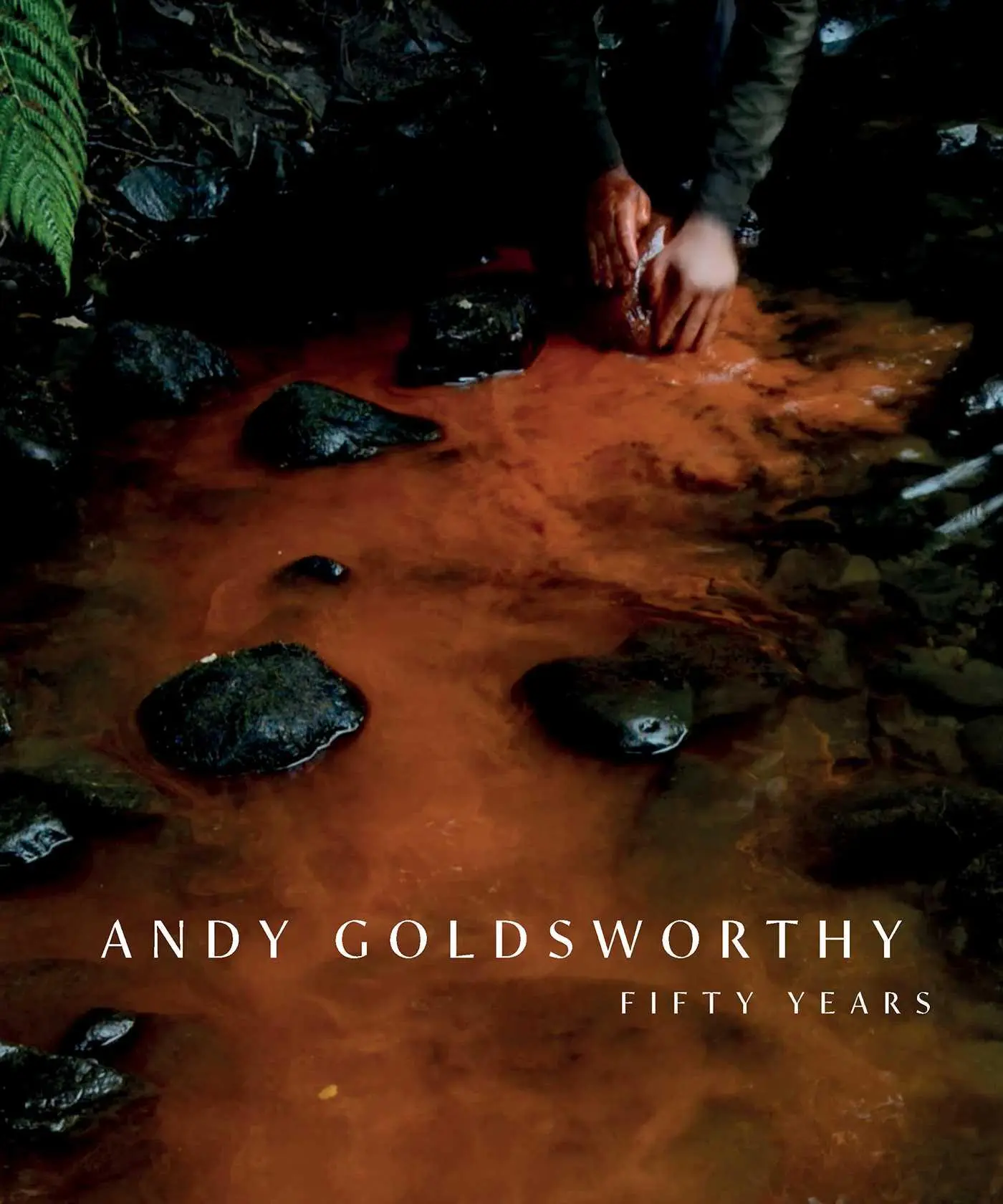Cover: 9781911054719 | Andy Goldsworthy | Fifty Years | Andy Goldsworthy | Taschenbuch | 2025