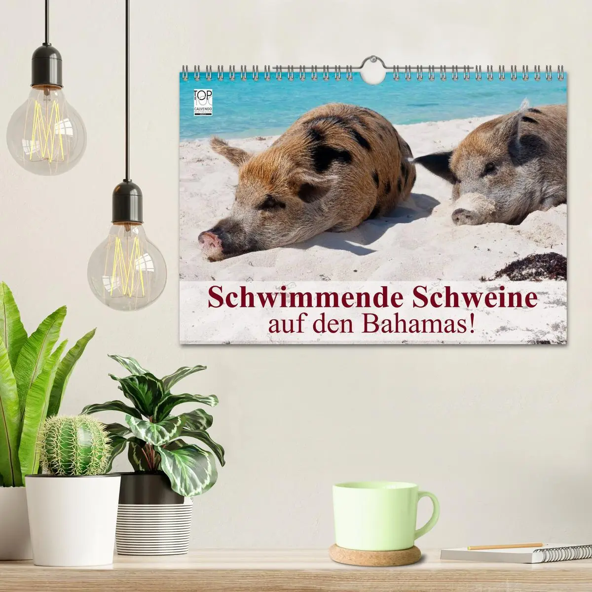 Bild: 9783516224719 | Schwimmende Schweine auf den Bahamas! (Wandkalender 2026 DIN A4...