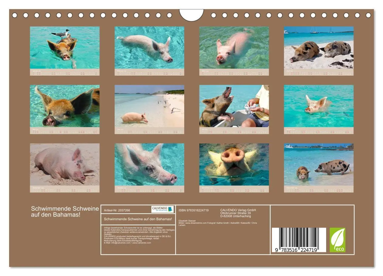 Bild: 9783516224719 | Schwimmende Schweine auf den Bahamas! (Wandkalender 2026 DIN A4...