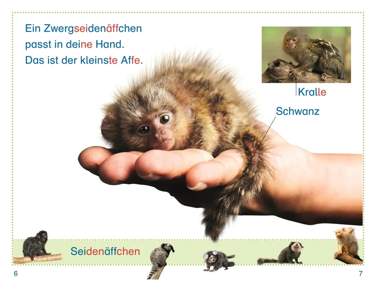 Rückseite: 9783831044719 | SUPERLESER! Zu Besuch bei den Affen | Elke Sagenschneider | Buch