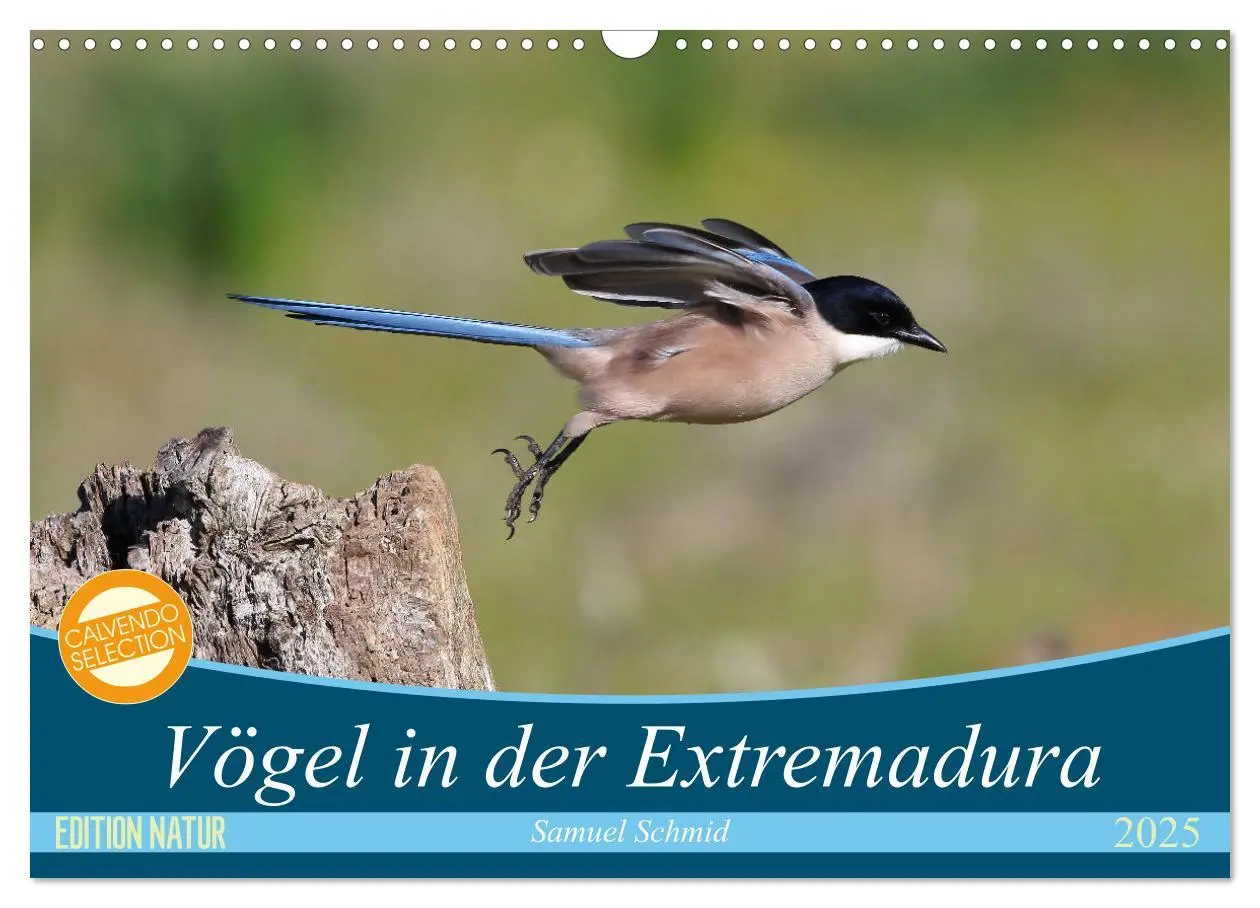 Cover: 9783435414819 | Vögel in der Extremadura (Wandkalender 2025 DIN A3 quer), CALVENDO...