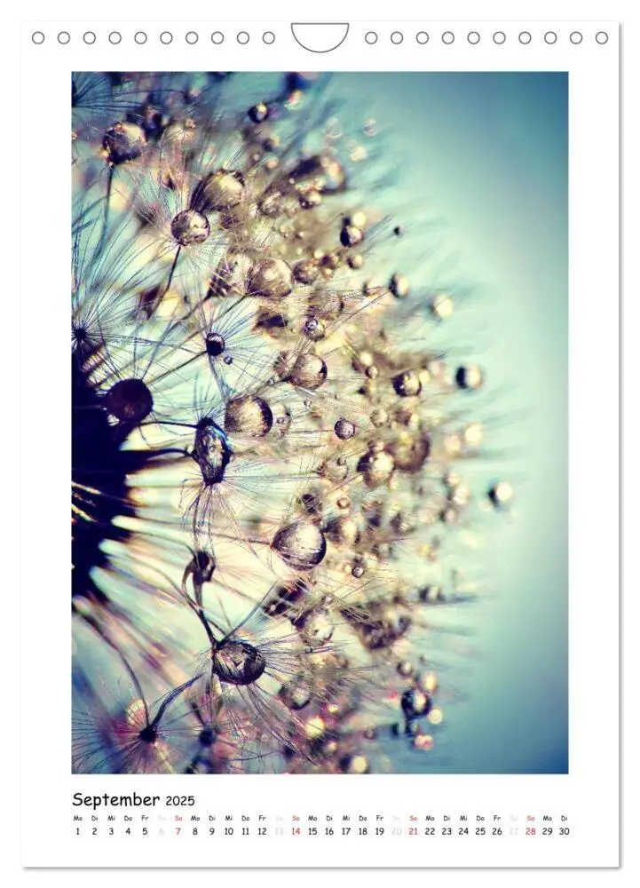 Bild: 9783457054819 | Die Pusteblume neu erleben (Wandkalender 2025 DIN A4 hoch),...