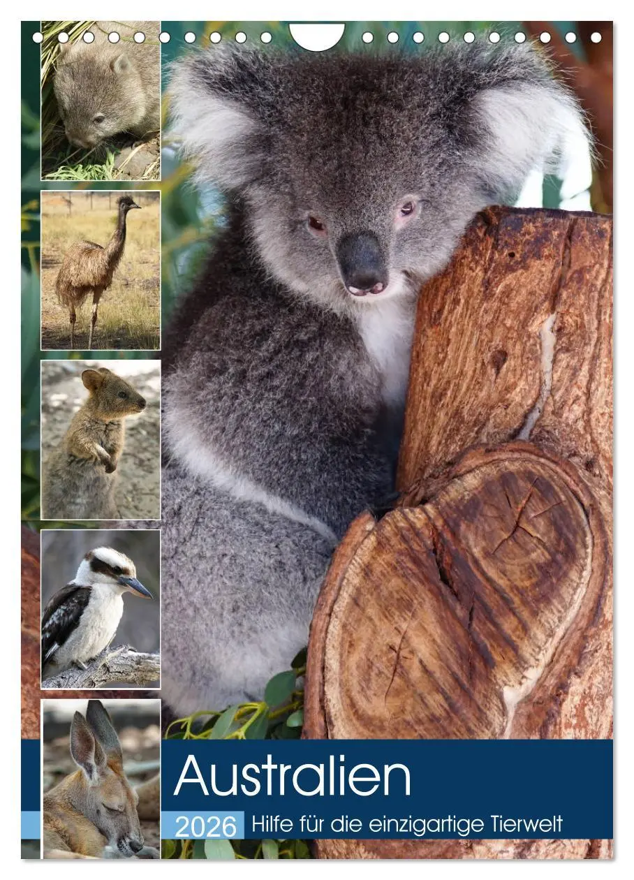 Cover: 9783516384819 | Australien - Hilfe für die einzigartige Tierwelt (Wandkalender 2026...