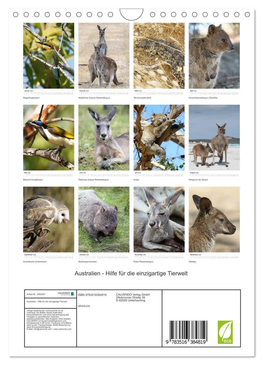 Bild: 9783516384819 | Australien - Hilfe für die einzigartige Tierwelt (Wandkalender 2026...