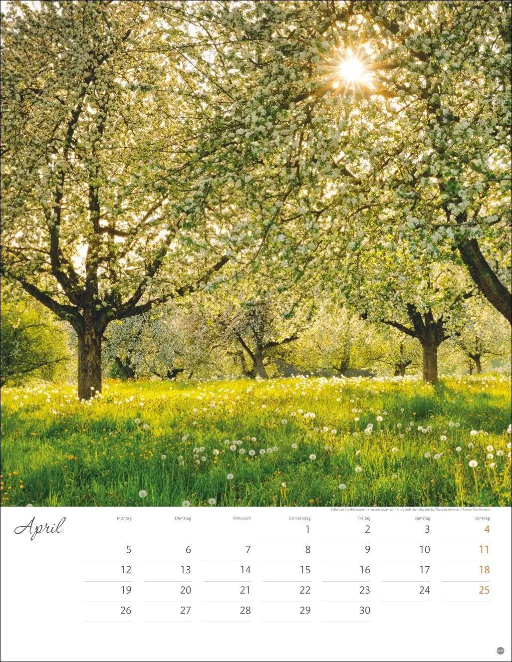 Bild: 9783756414819 | Jenseits der Hast Posterkalender 2027 | Heye | Kalender | 14 S. | 2027