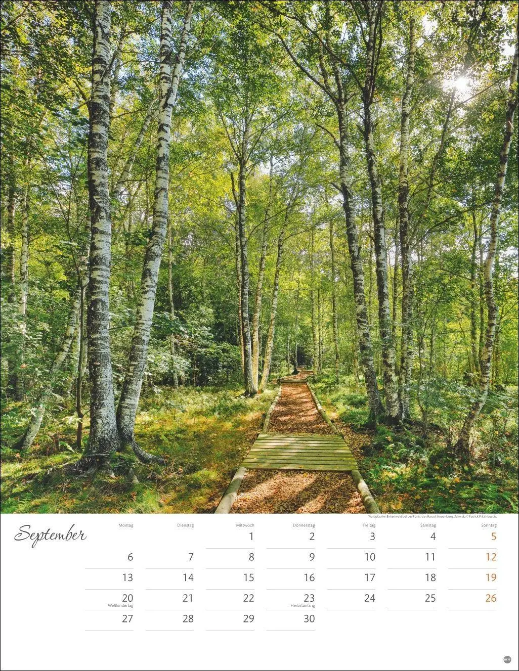 Bild: 9783756414819 | Jenseits der Hast Posterkalender 2027 | Heye | Kalender | 14 S. | 2027