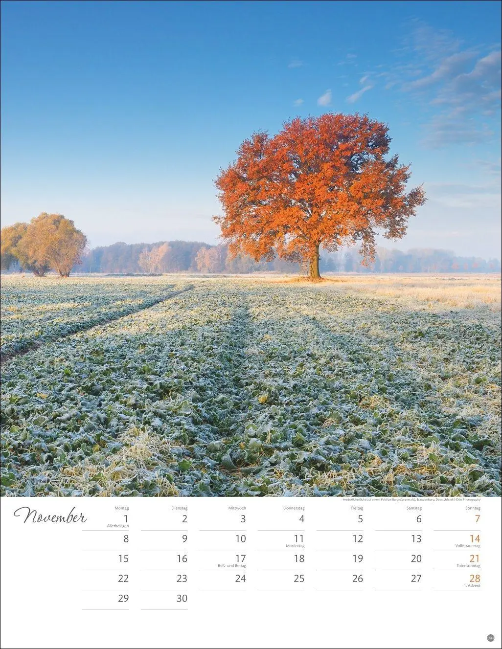 Bild: 9783756414819 | Jenseits der Hast Posterkalender 2027 | Heye | Kalender | 14 S. | 2027