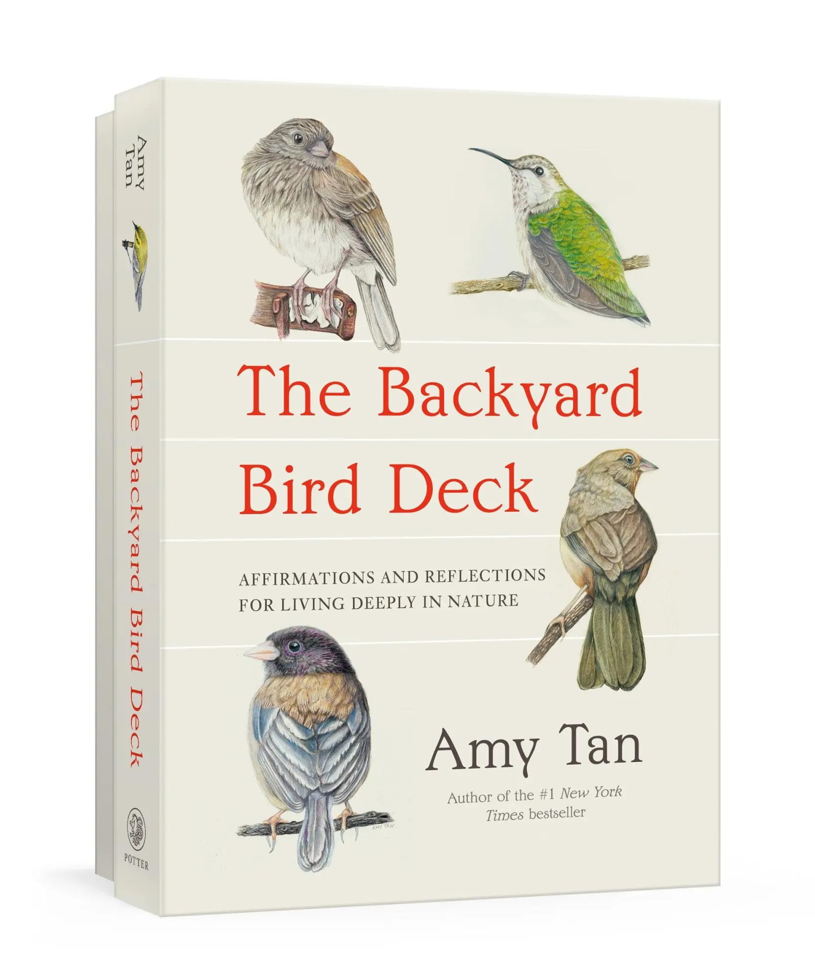 Cover: 9798217034819 | The Backyard Bird Deck | Amy Tan | Englisch | 2026 | EAN 9798217034819