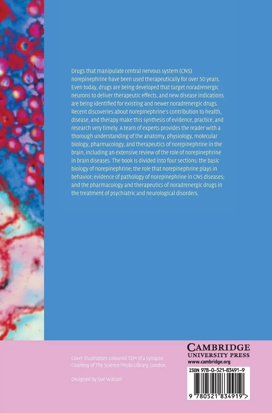 Rückseite: 9780521834919 | Brain Norepinephrine | Gregory A. Ordway (u. a.) | Buch | Gebunden
