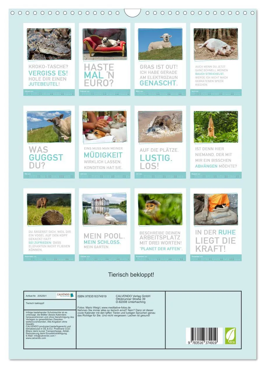 Bild: 9783516374919 | Tierisch bekloppt! (Wandkalender 2026 DIN A3 hoch), CALVENDO...