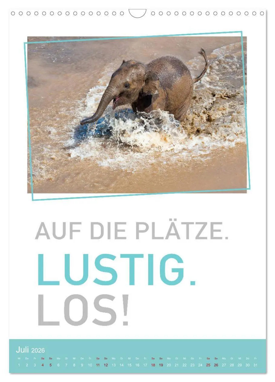 Bild: 9783516374919 | Tierisch bekloppt! (Wandkalender 2026 DIN A3 hoch), CALVENDO...