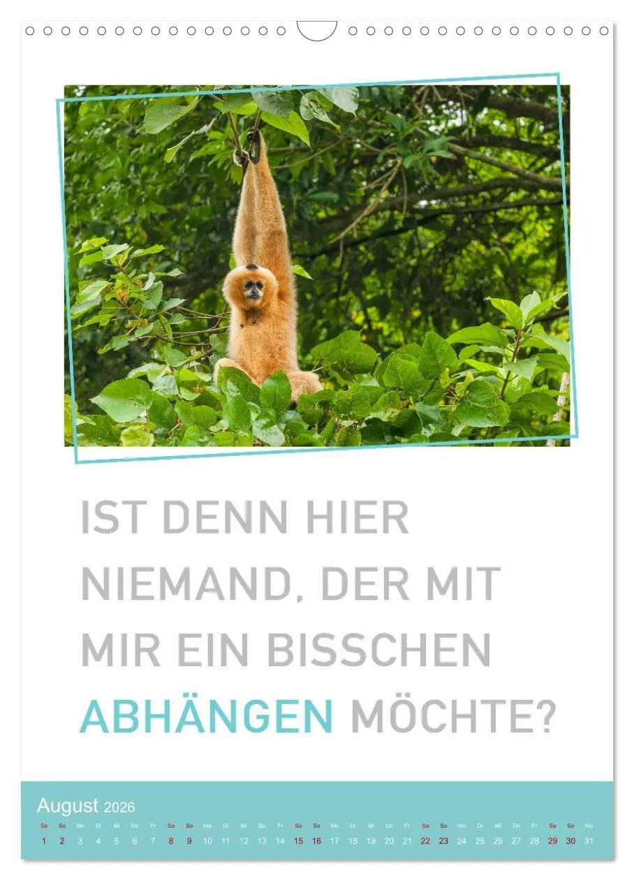Bild: 9783516374919 | Tierisch bekloppt! (Wandkalender 2026 DIN A3 hoch), CALVENDO...