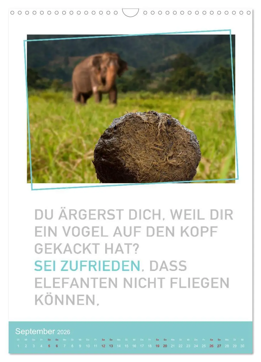 Bild: 9783516374919 | Tierisch bekloppt! (Wandkalender 2026 DIN A3 hoch), CALVENDO...