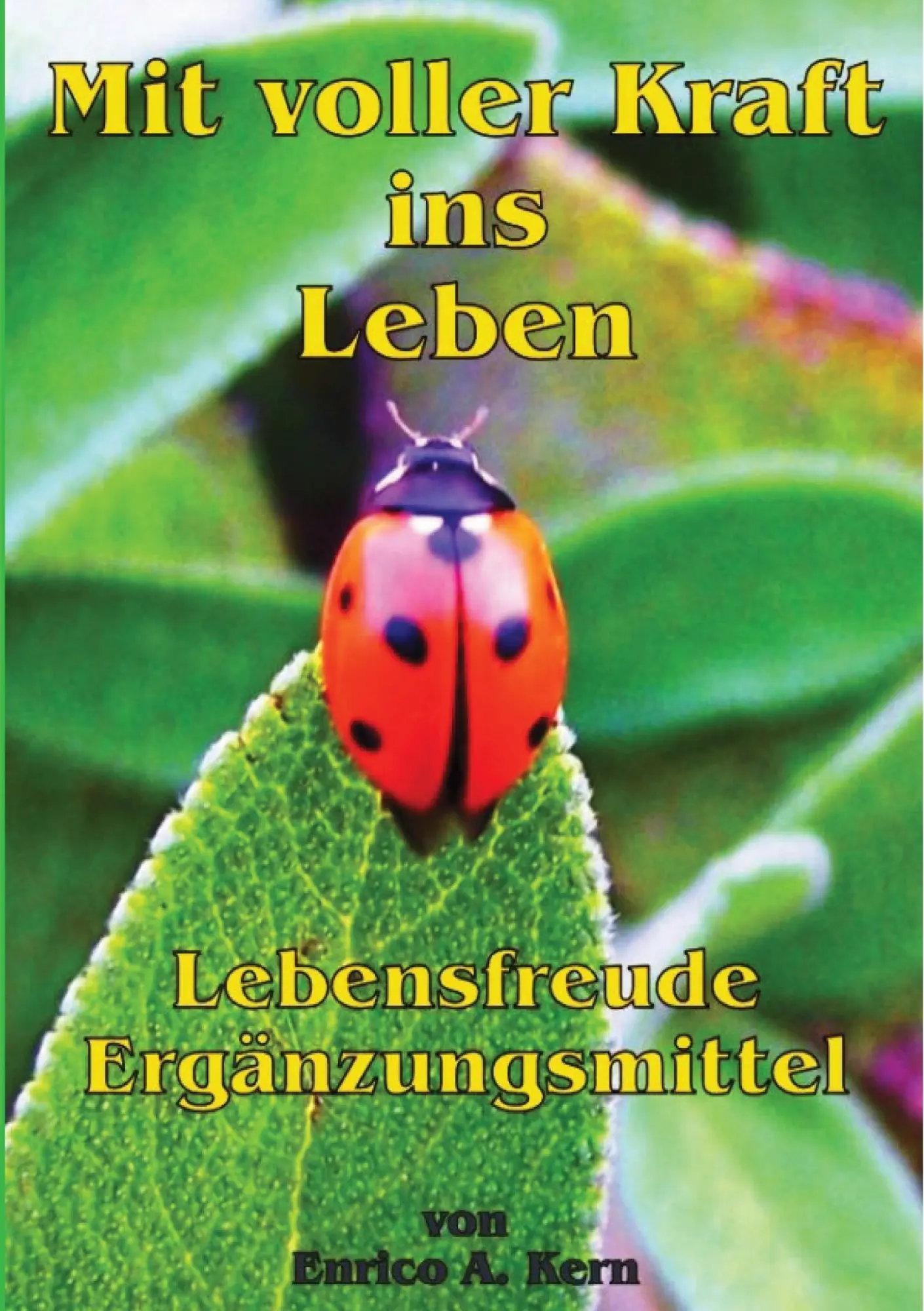 Cover: 9783734794919 | Mit voller Kraft ins Leben | Lebensfreude Ergänzungsmittel | Kern