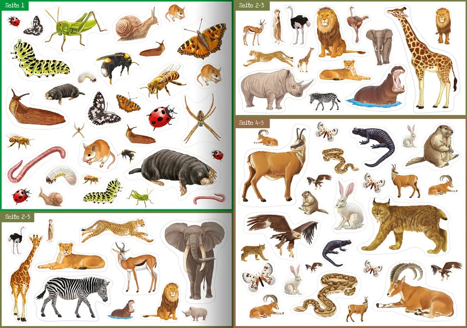 Bild: 9783863184919 | Tiere unserer Erde | Meine Stickerwelt | Taschenbuch | 24 S. | Deutsch
