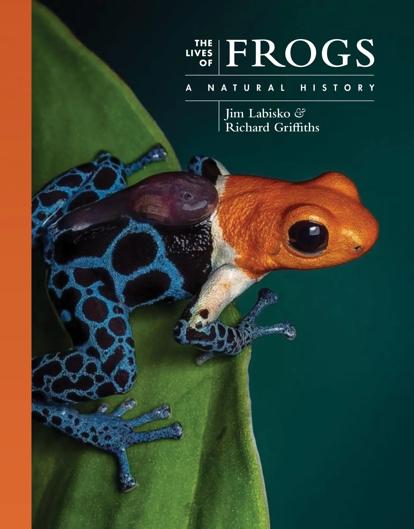 Cover: 9780691255019 | The Lives of Frogs | A Natural History | Jim Labisko (u. a.) | Buch