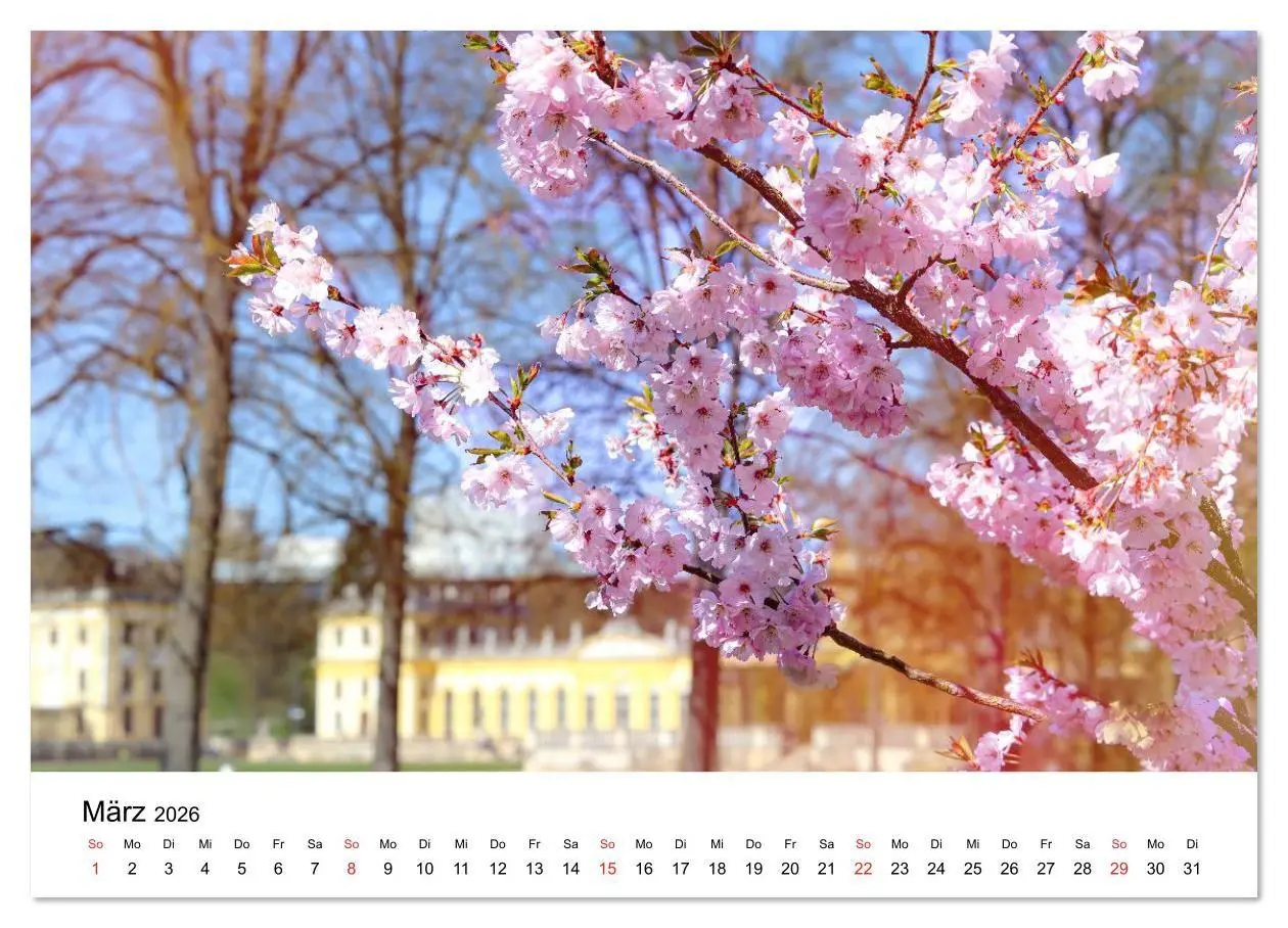 Bild: 9783457935019 | Kassel - Impressionen (Wandkalender 2026 DIN A4 quer), CALVENDO...