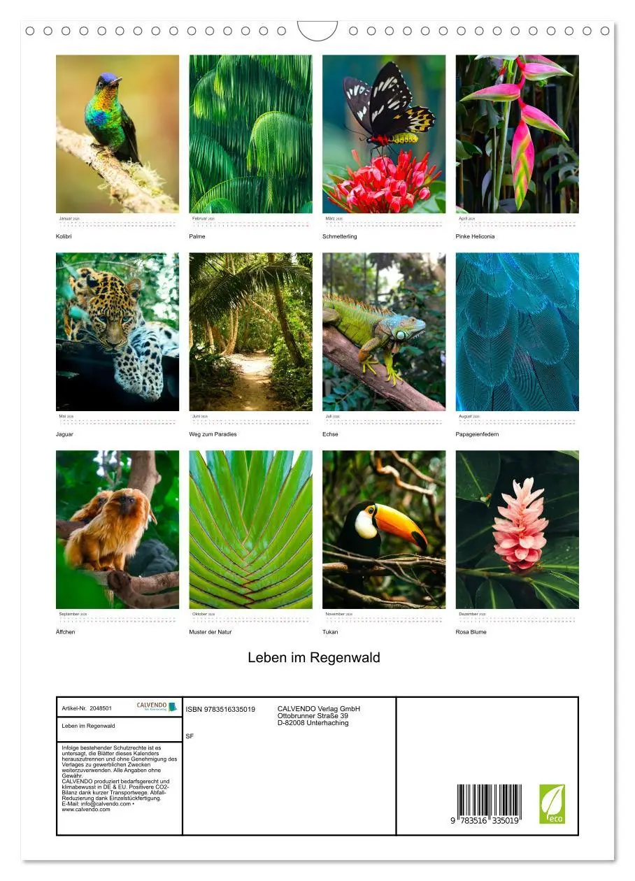 Bild: 9783516335019 | Leben im Regenwald (Wandkalender 2026 DIN A3 hoch), CALVENDO...