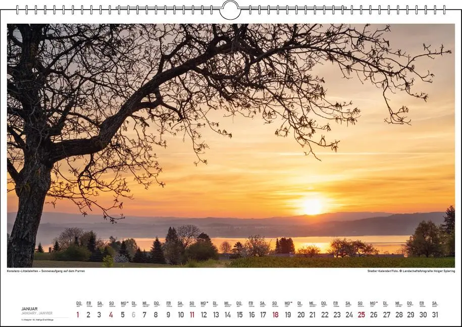 Bild: 9783861925019 | Malerischer Bodensee 2026 | Holger Spiering | Kalender | Spiralbindung
