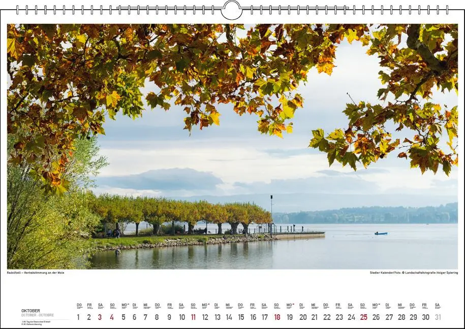 Bild: 9783861925019 | Malerischer Bodensee 2026 | Holger Spiering | Kalender | Spiralbindung