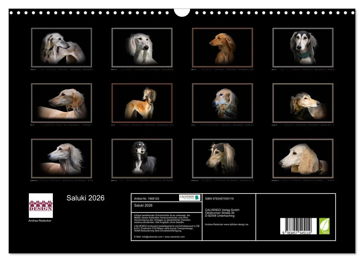 Bild: 9783457545119 | Saluki 2026 (Wandkalender 2026 DIN A3 quer), CALVENDO Monatskalender