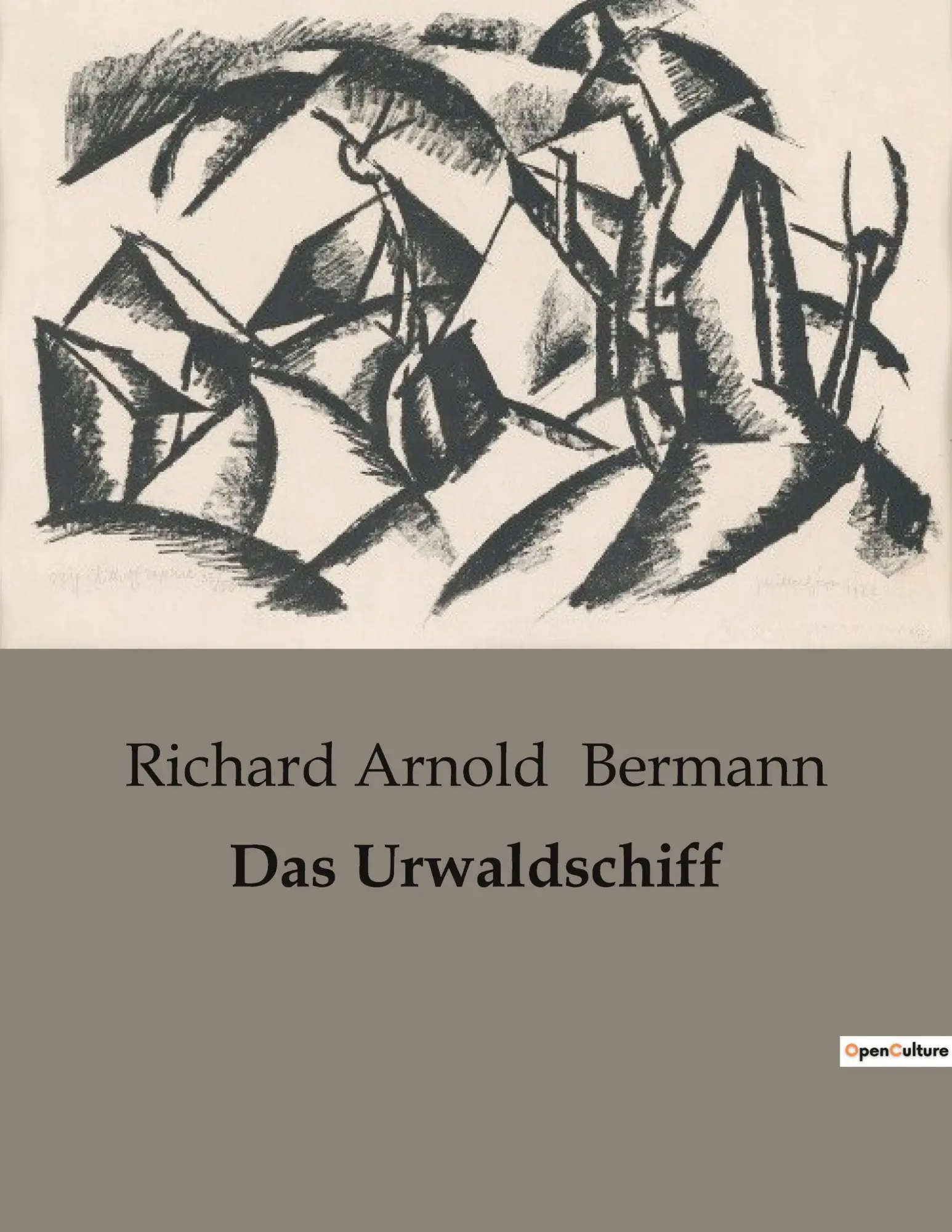Cover: 9791041905119 | Das Urwaldschiff | Richard Arnold Bermann | Taschenbuch | 116 S.