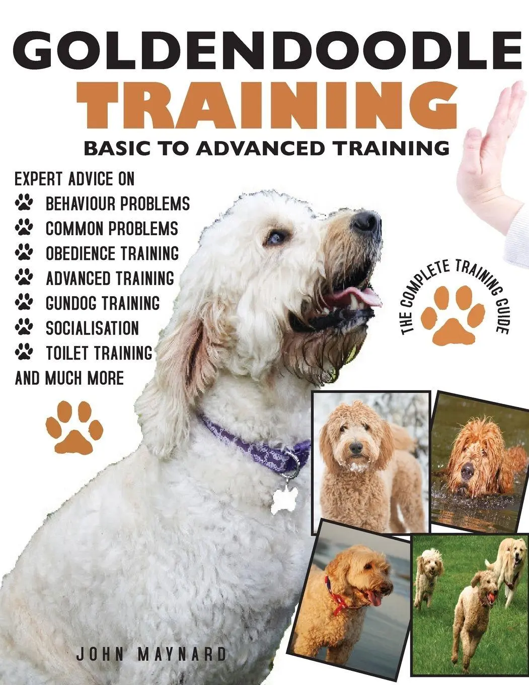 Cover: 9781910915219 | GOLDENDOODLE | THE COMPLETE TRAINING GUIDE 2ND EDITION: | John Maynard