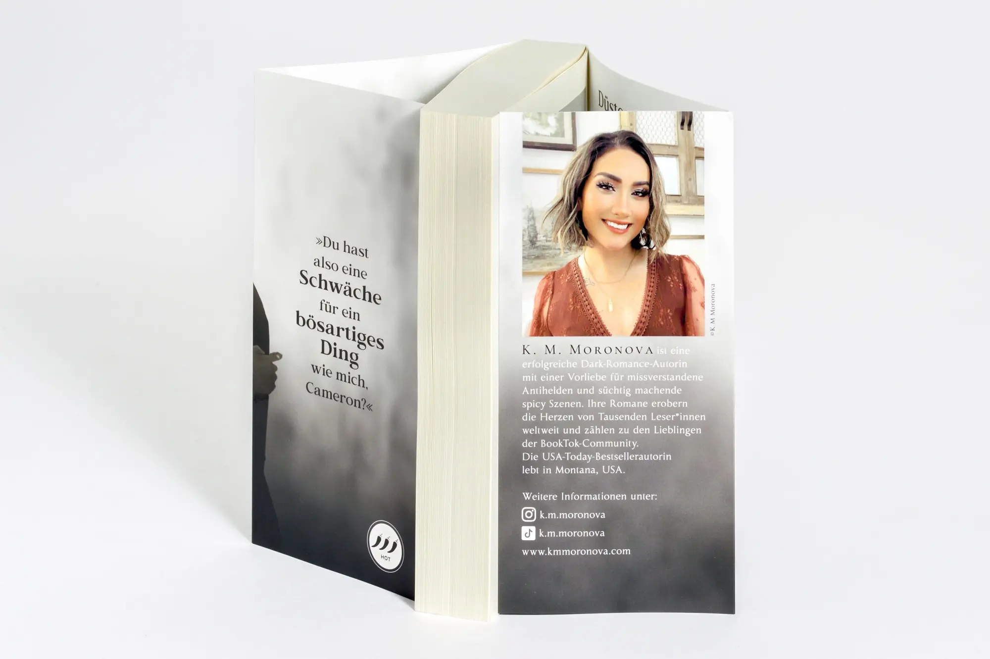 Bild: 9783734115219 | Your Knife, My Heart | K M Moronova | Taschenbuch | 400 S. | Deutsch