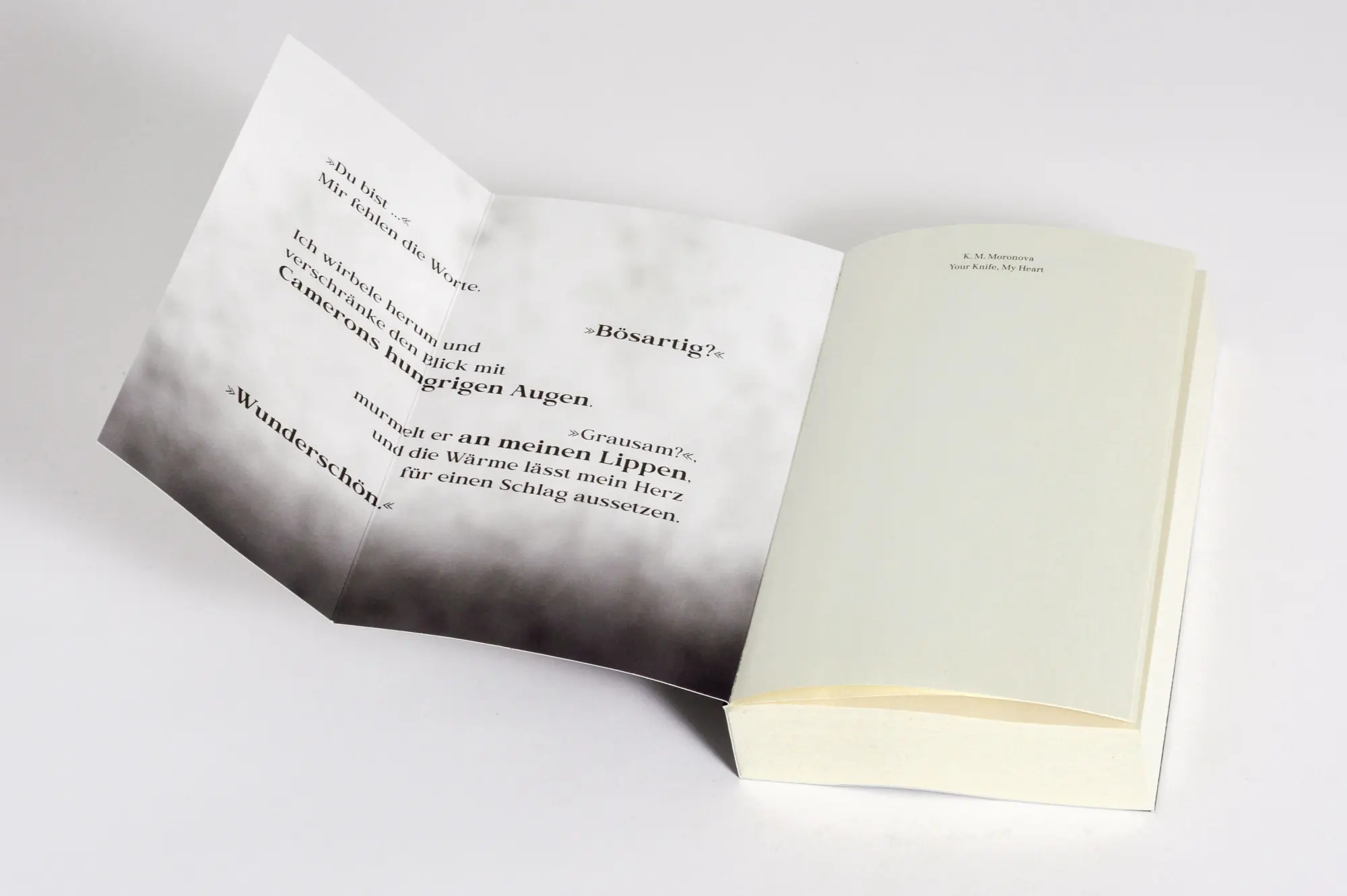 Bild: 9783734115219 | Your Knife, My Heart | K M Moronova | Taschenbuch | 400 S. | Deutsch