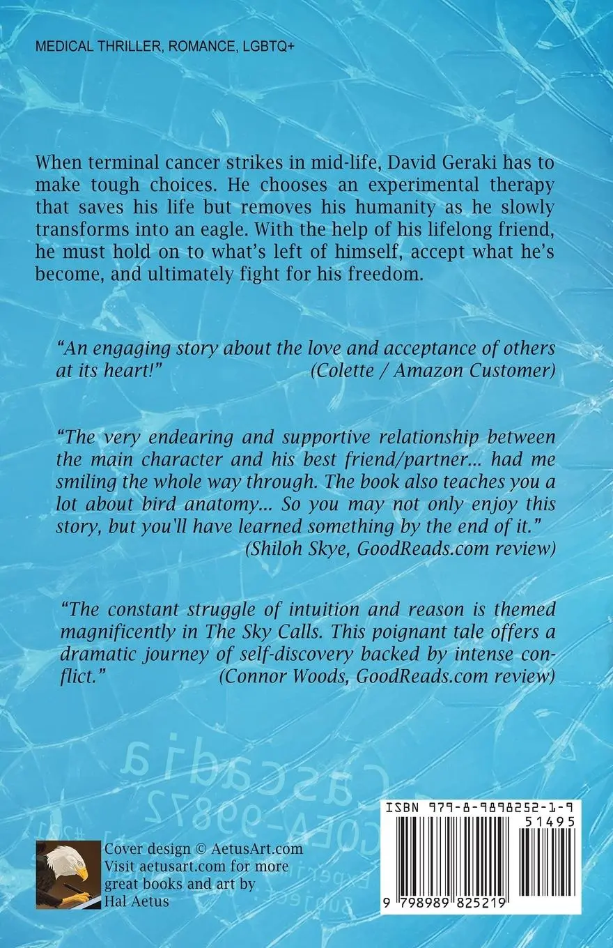 Rückseite: 9798989825219 | The Sky Calls | Hal Aetus | Taschenbuch | Englisch | 2024 | Aetus Art