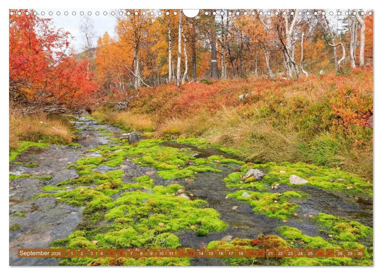 Bild: 9783516235319 | Finnisch Lappland (Wandkalender 2026 DIN A3 quer), CALVENDO...