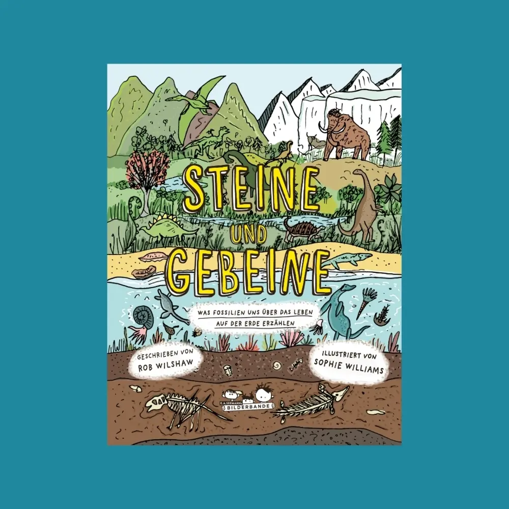 Bild: 9783865025319 | Steine und Gebeine | Rob Wilshaw | Buch | 80 S. | Deutsch | 2025